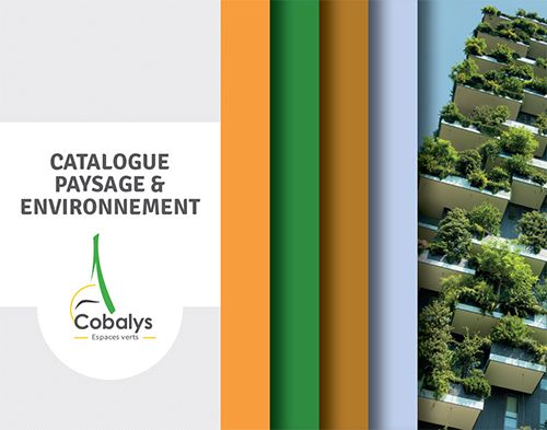 Catalogue 