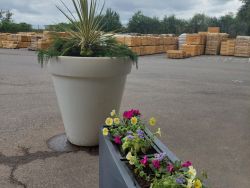 Cobalys espaces verts