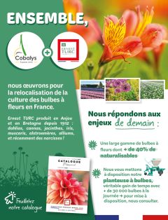 Partenariat Ernest Turc - Cobalys