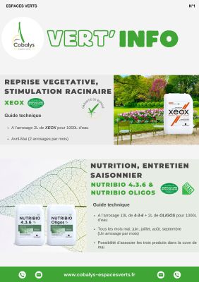 VERT'INFO N°1