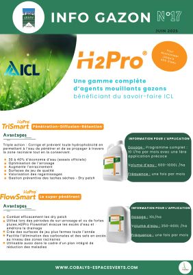 INFO GAZON N17