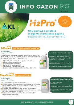 INFO GAZON N17