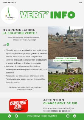 VERT'INFO N°4