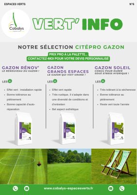 VERT'INFO N°6