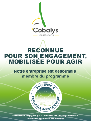 🌿UNE NOUVELLE ETAPE POUR COBALYS