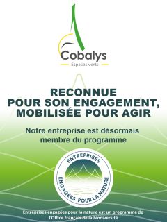 🌿UNE NOUVELLE ETAPE POUR COBALYS